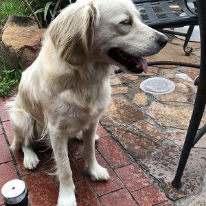 Meet your Posher, Sonia